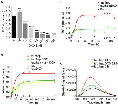 Doxycycline Interferes With Tau Aggregation and Reduces Its Neuronal Toxicity